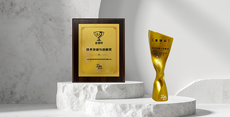 喜报 | E8平台官方网站-登录入口荣获真锂研究“技术突破与创新奖”